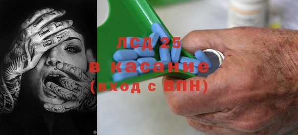 ПСИЛОЦИБИНОВЫЕ ГРИБЫ Белоозёрский
