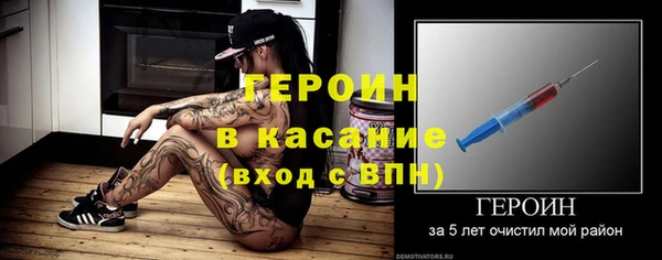 крисы Бородино
