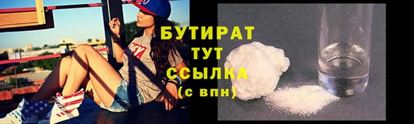 крисы Бородино