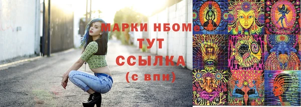 мдпв Белокуриха