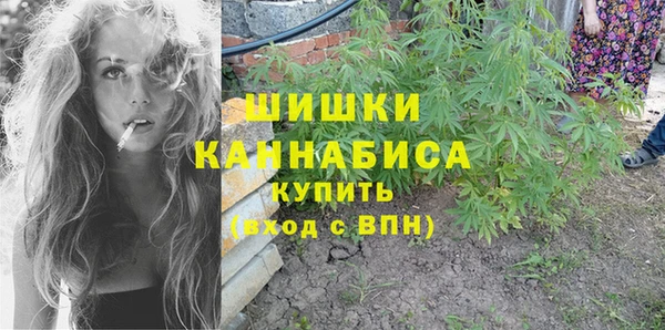 крисы Бородино