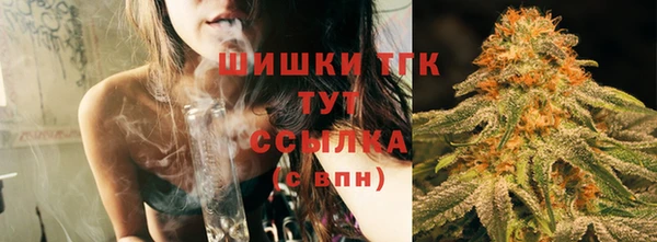 ПСИЛОЦИБИНОВЫЕ ГРИБЫ Белоозёрский